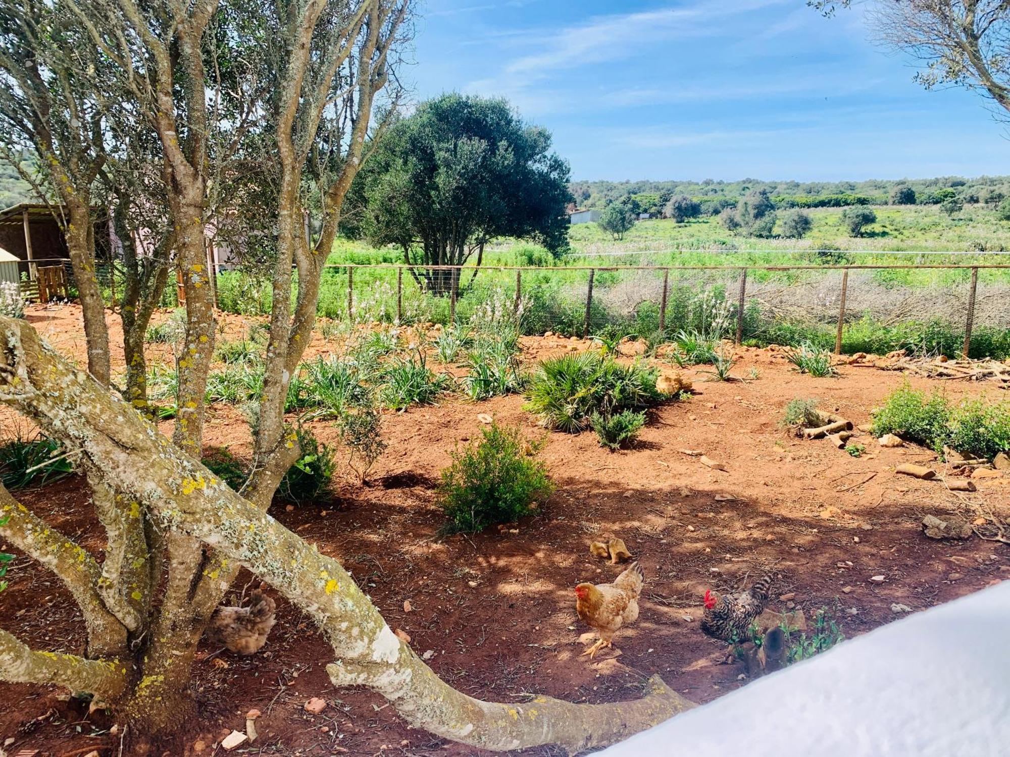 Вилла Quinta Da Bela Vista Лагуш Экстерьер фото
