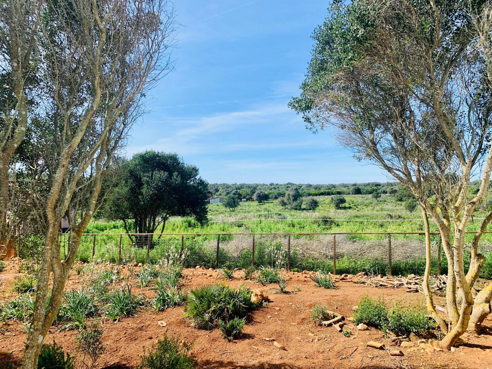Вилла Quinta Da Bela Vista Лагуш Экстерьер фото